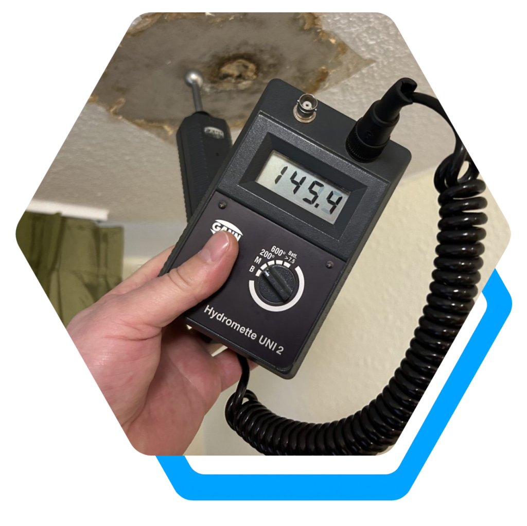 Feuchtigkeitsmesseranzeige 145,4
